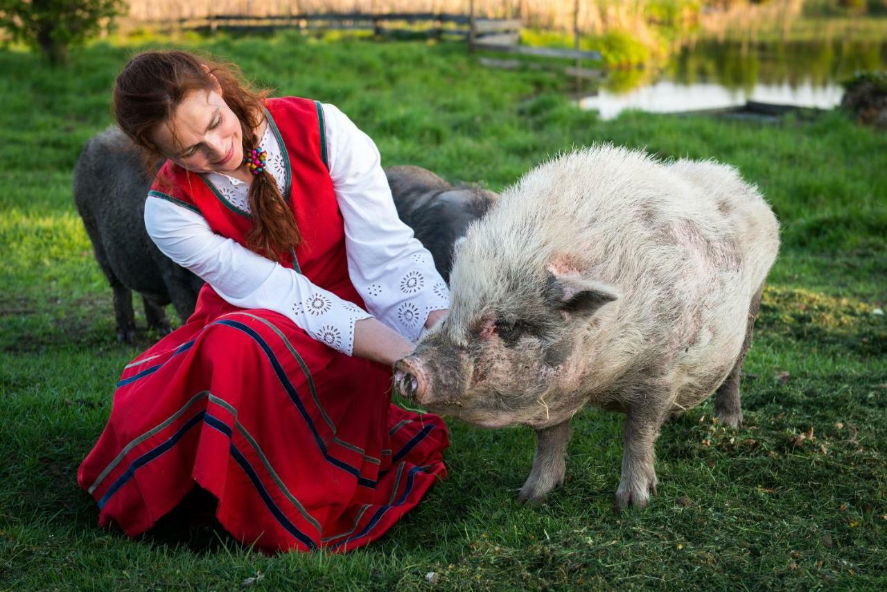 Tierstiftung Eulalia Leilighet Babieta Eksteriør bilde
